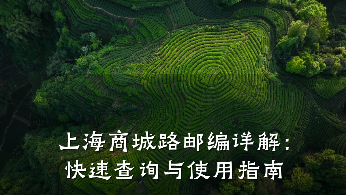 上海商城路邮编详解：快速查询与使用指南
