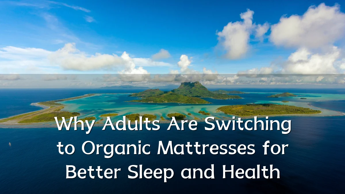 Why Adults Are Switching to Organic Mattresses for Better Sleep and Health
