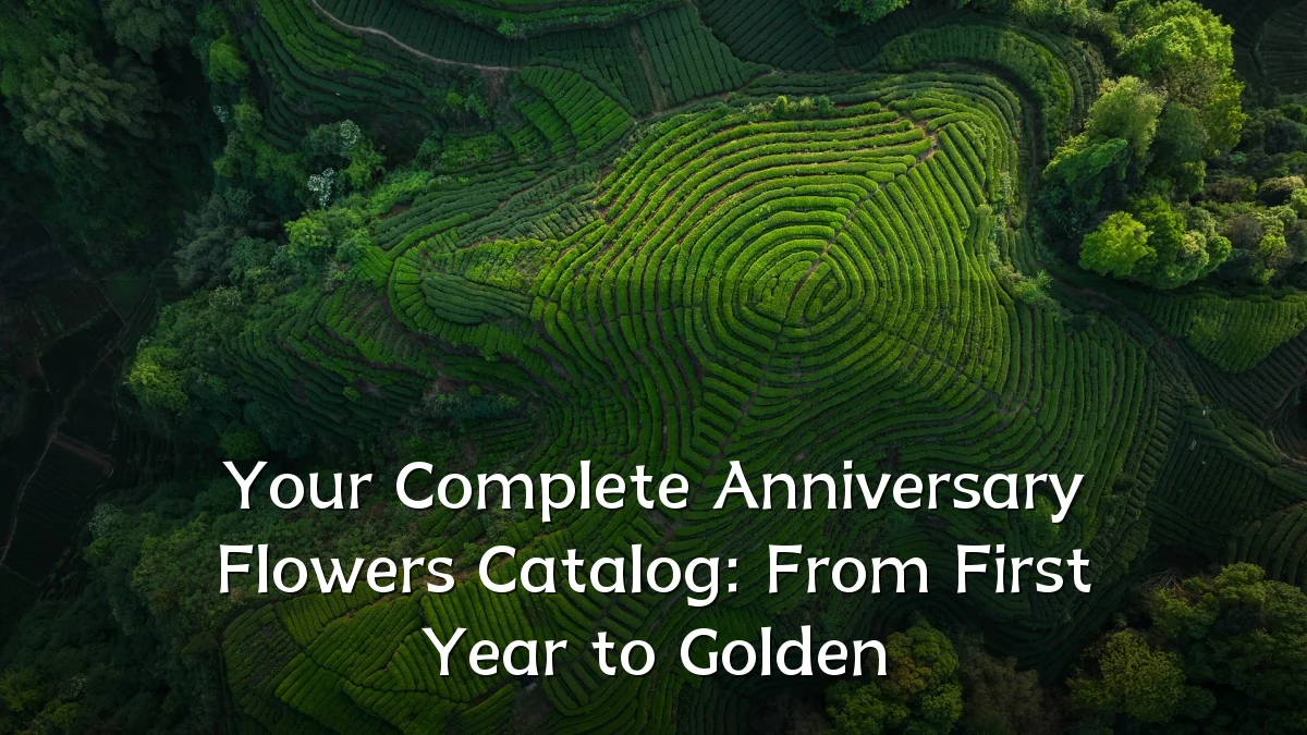Your Complete Anniversary Flowers Catalog: From First Year to Golden