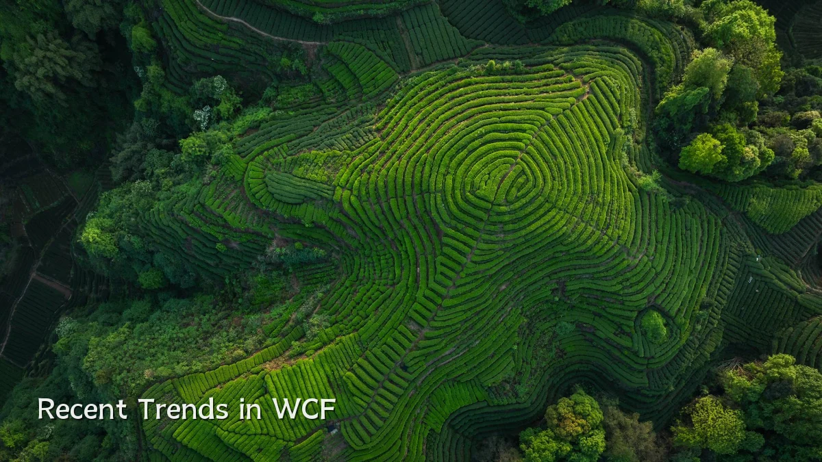 Recent Trends in WCF