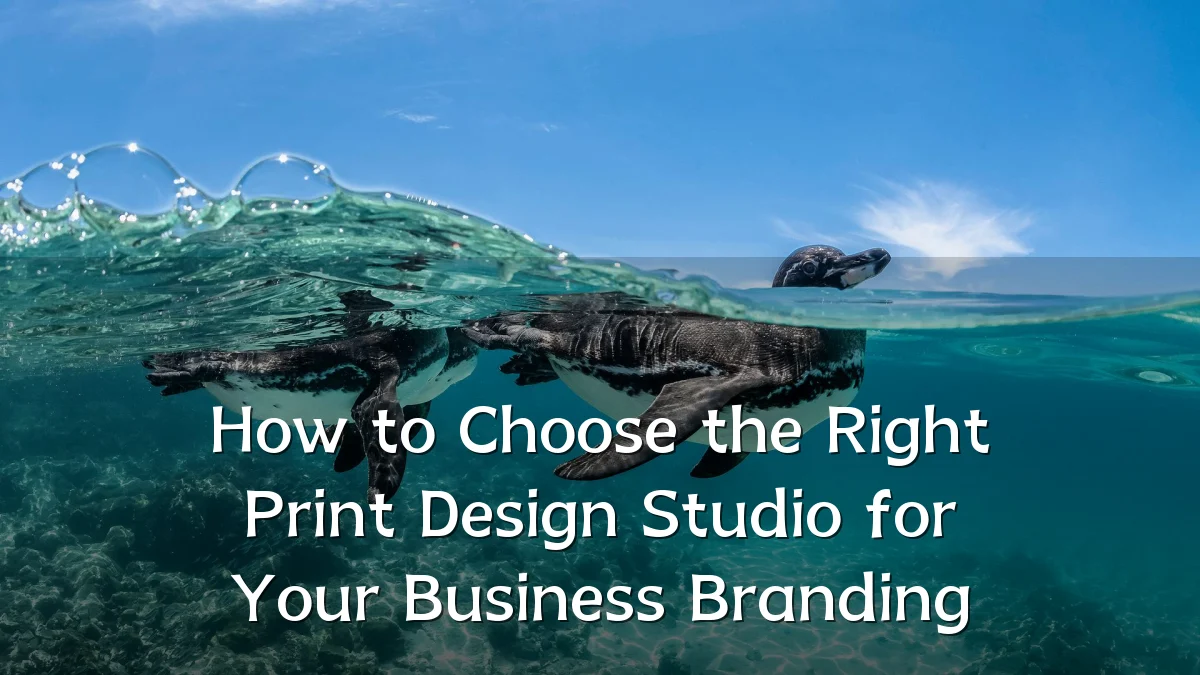 How to Choose the Right Print Design Studio for Your Business Branding