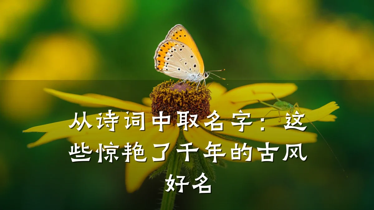 从诗词中取名字:这些惊艳了千年的古风好名