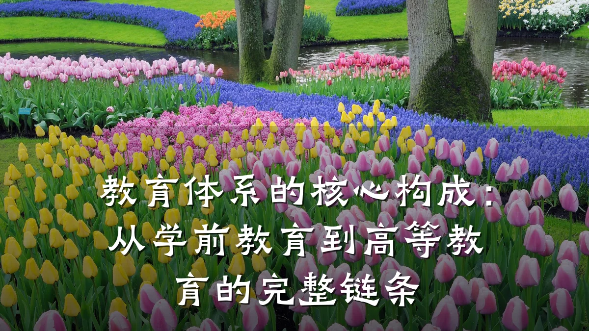 教育体系的核心构成：从学前教育到高等教育的完整链条