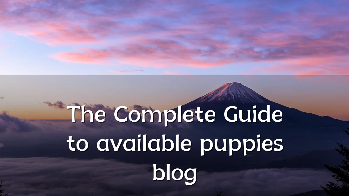 The Complete Guide to available puppies blog