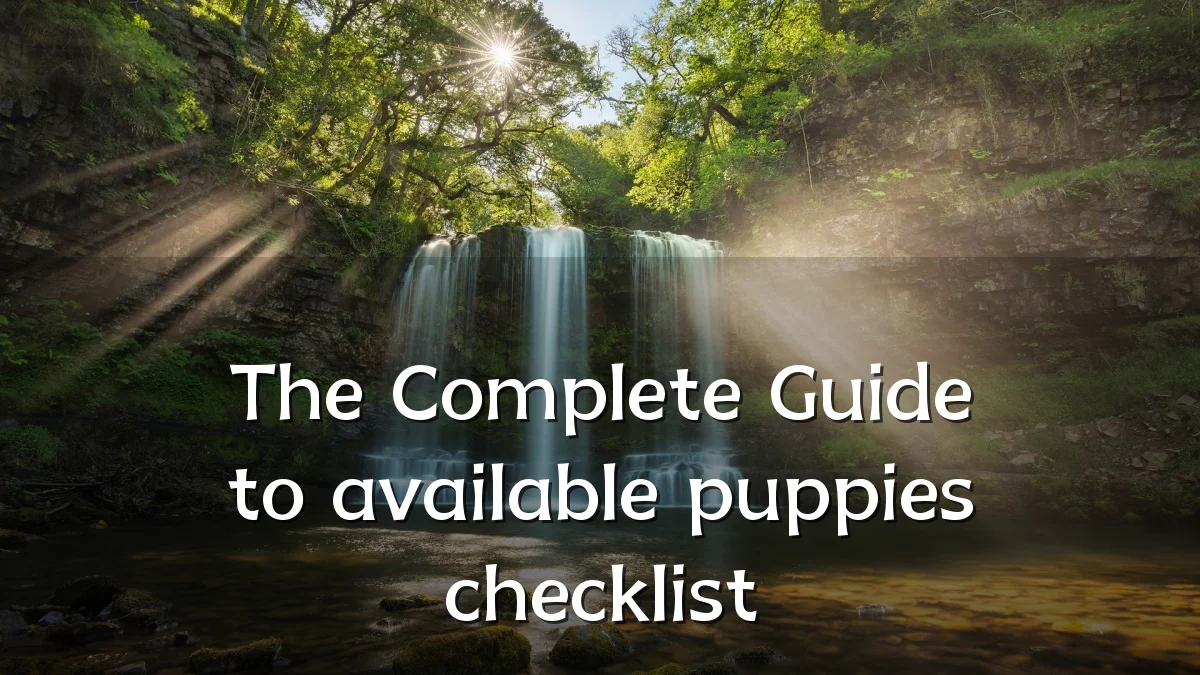 The Complete Guide to available puppies checklist