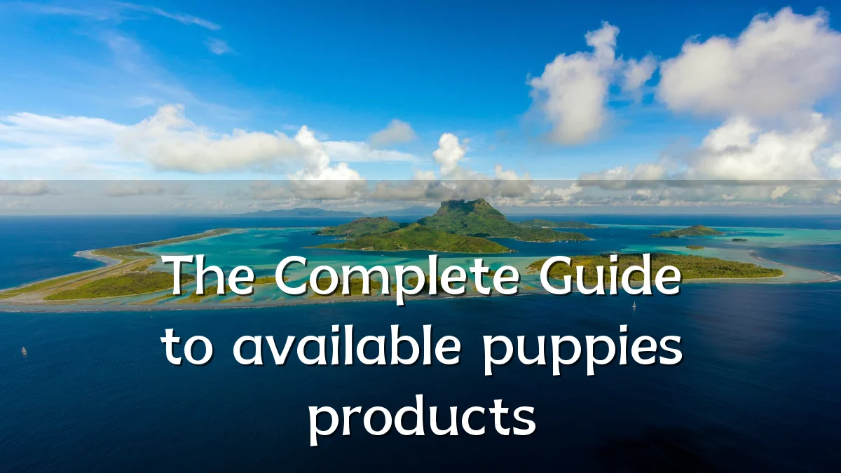 The Complete Guide to available puppies products