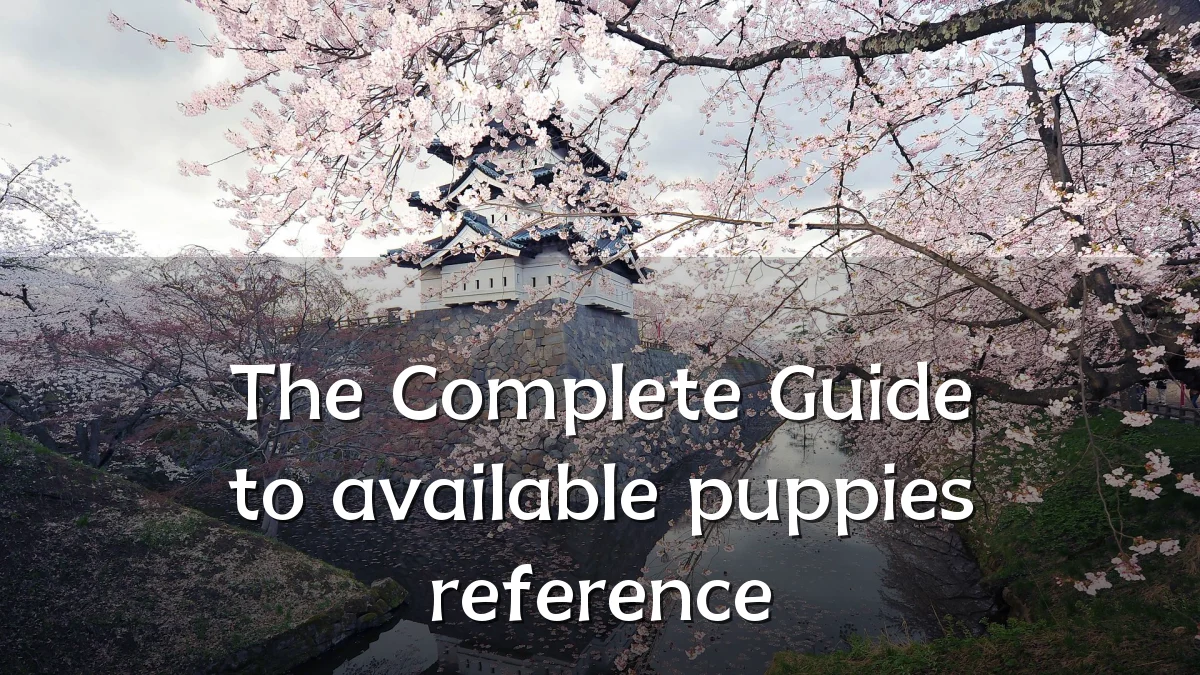 The Complete Guide to available puppies reference