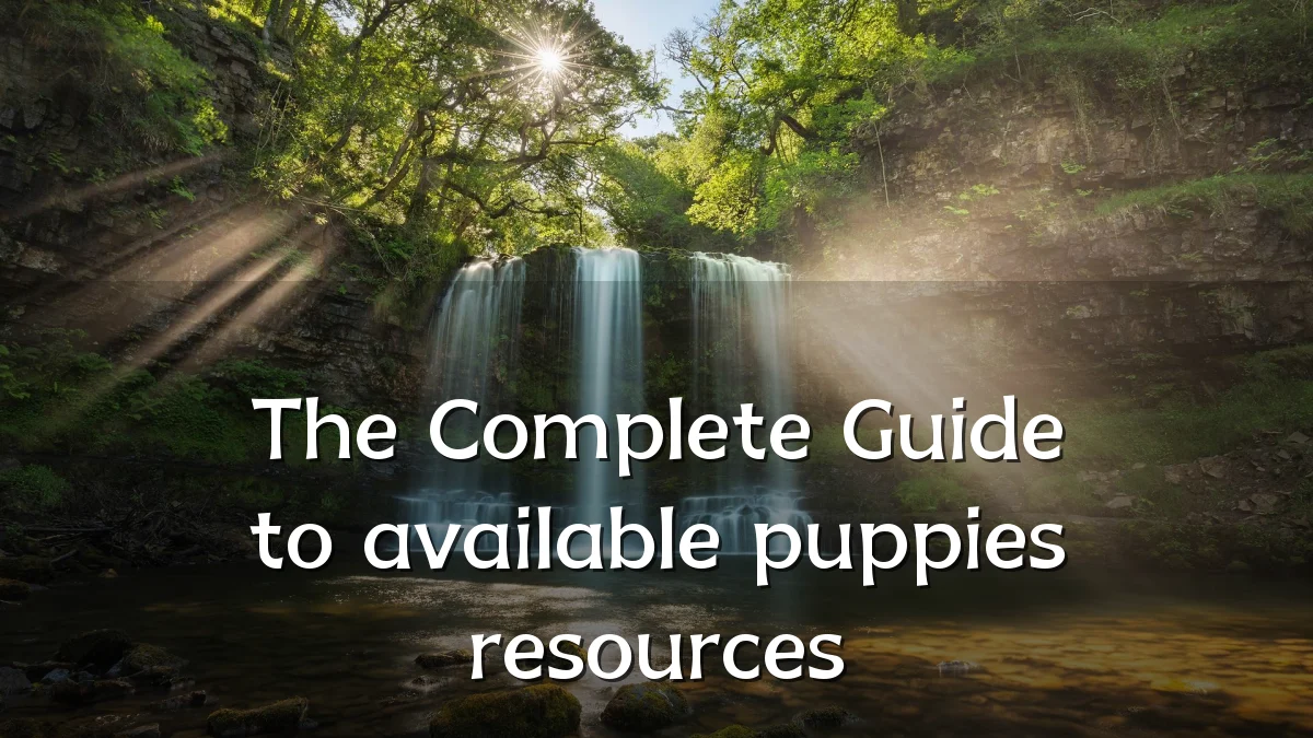 The Complete Guide to available puppies resources