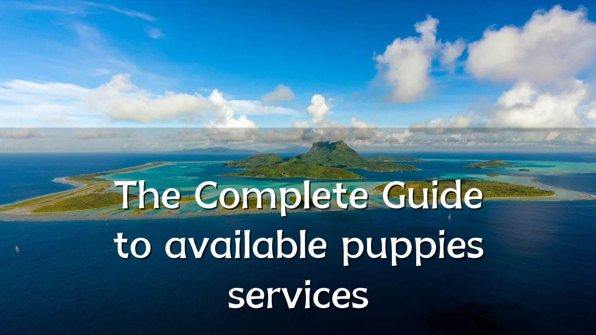 The Complete Guide to available puppies services