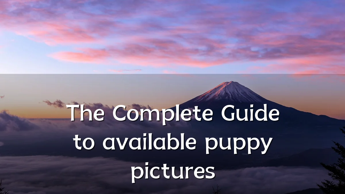 The Complete Guide to available puppy pictures