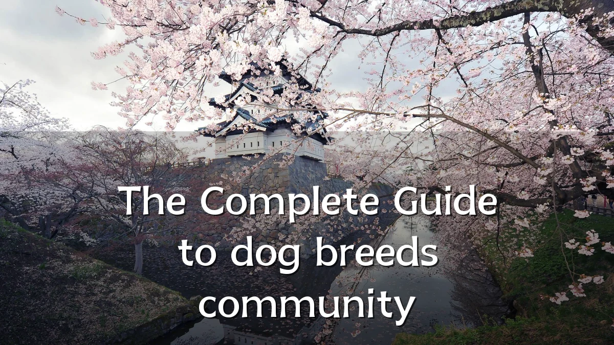 The Complete Guide to dog breeds community