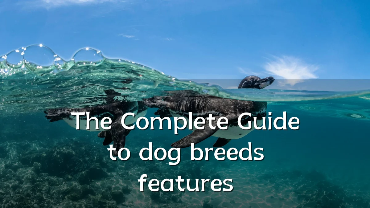 The Complete Guide to dog breeds features