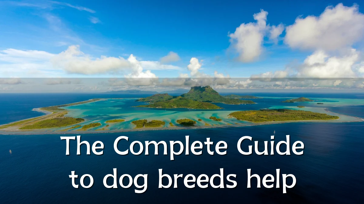 The Complete Guide to dog breeds help