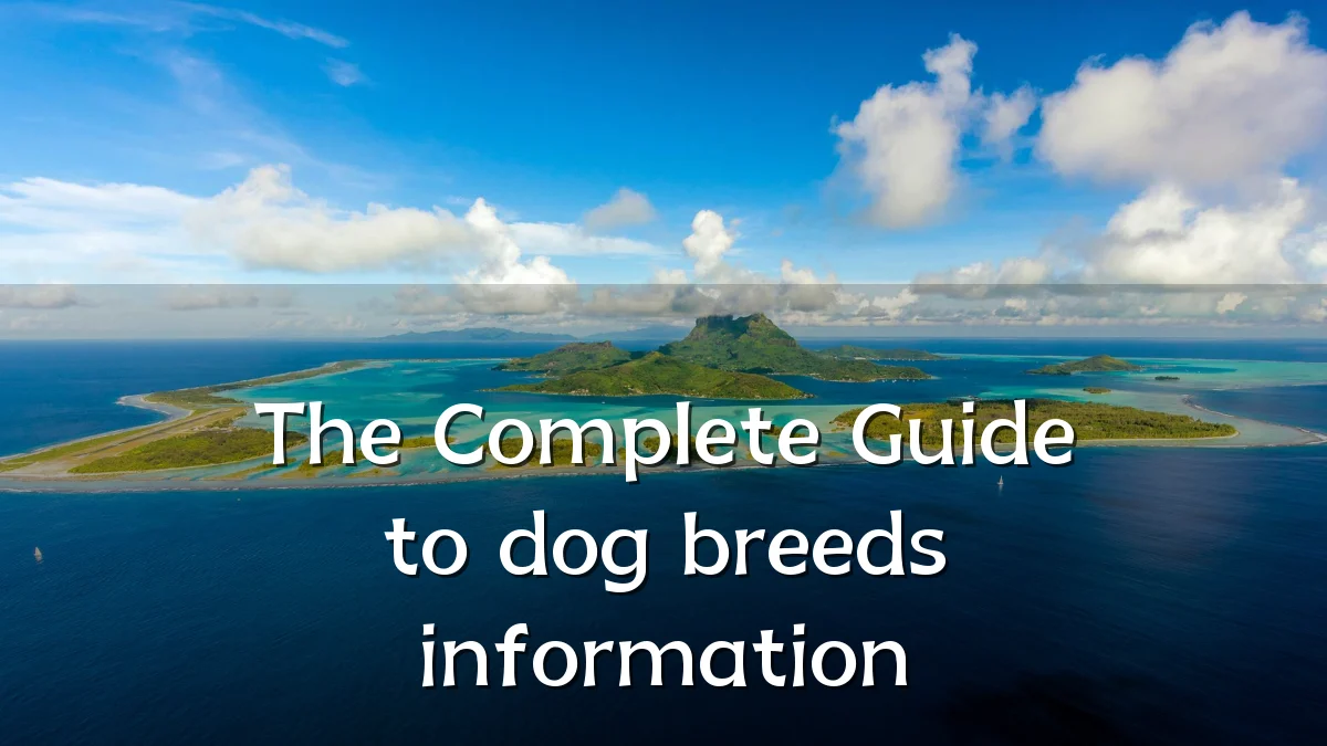 The Complete Guide to dog breeds information
