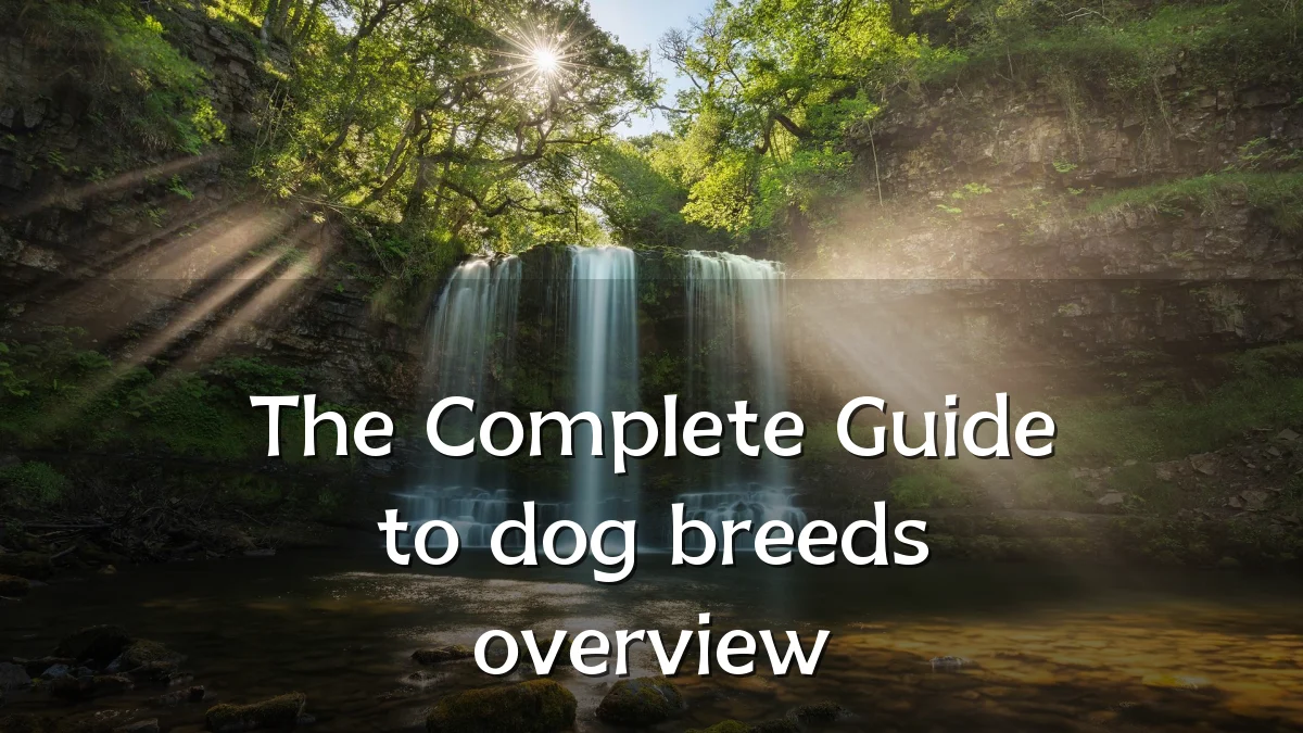 The Complete Guide to dog breeds overview