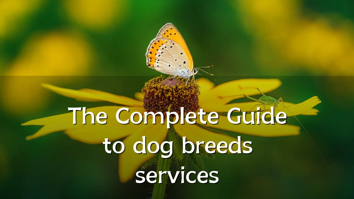 The Complete Guide to dog breeds services