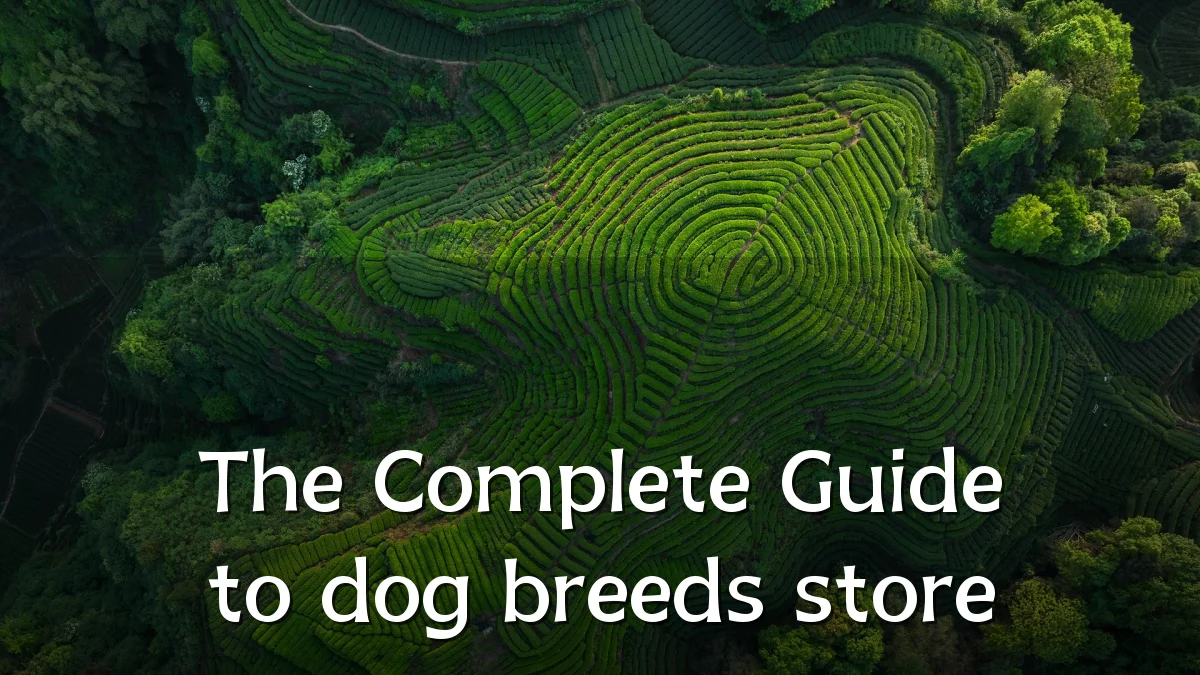 The Complete Guide to dog breeds store