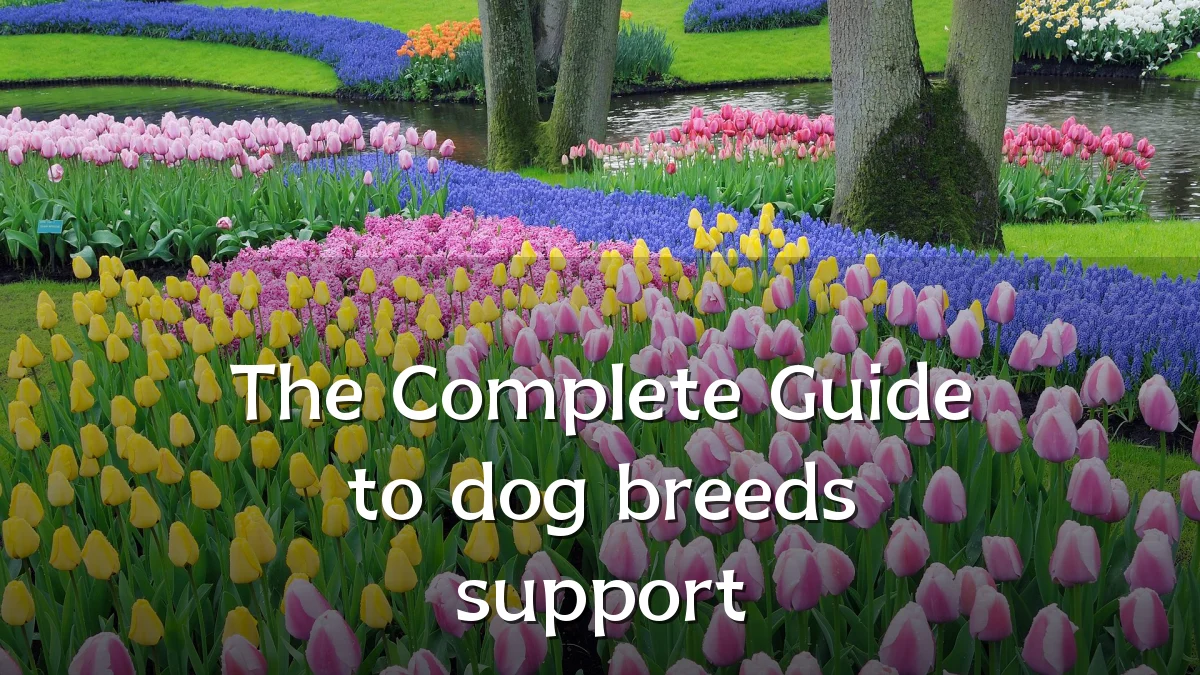 The Complete Guide to dog breeds support