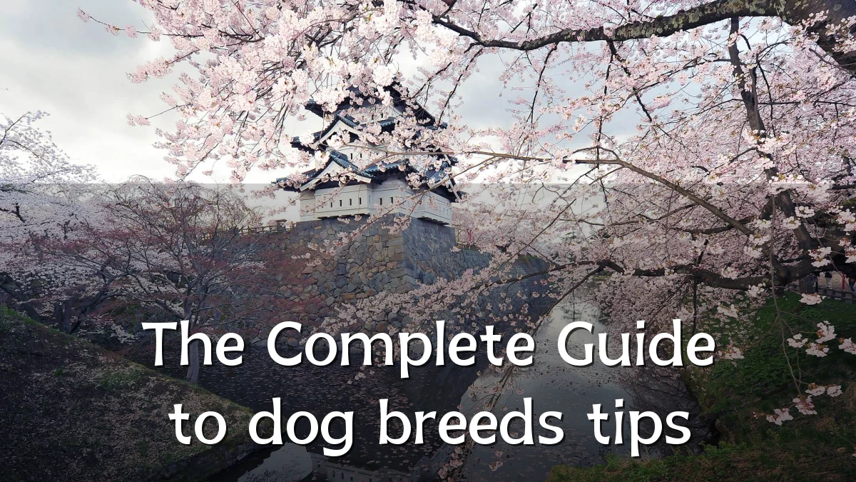 The Complete Guide to dog breeds tips