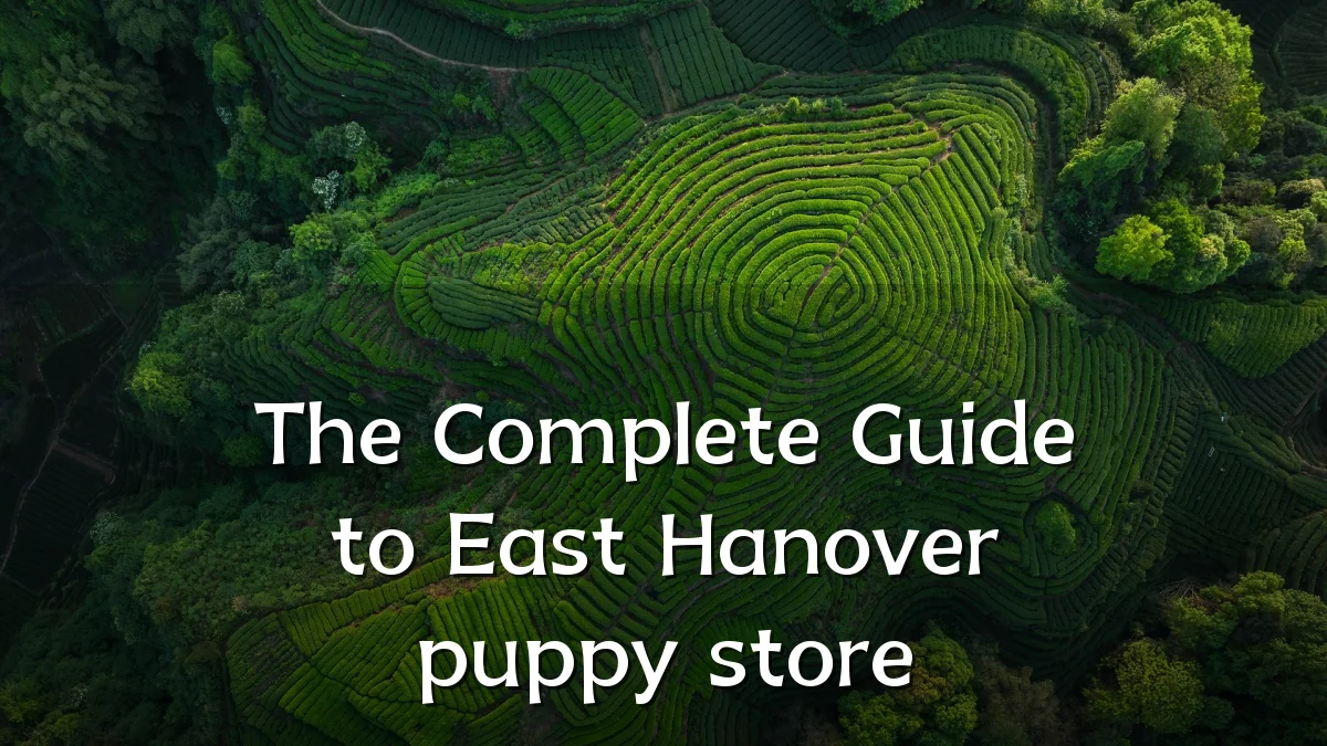 The Complete Guide to East Hanover puppy store