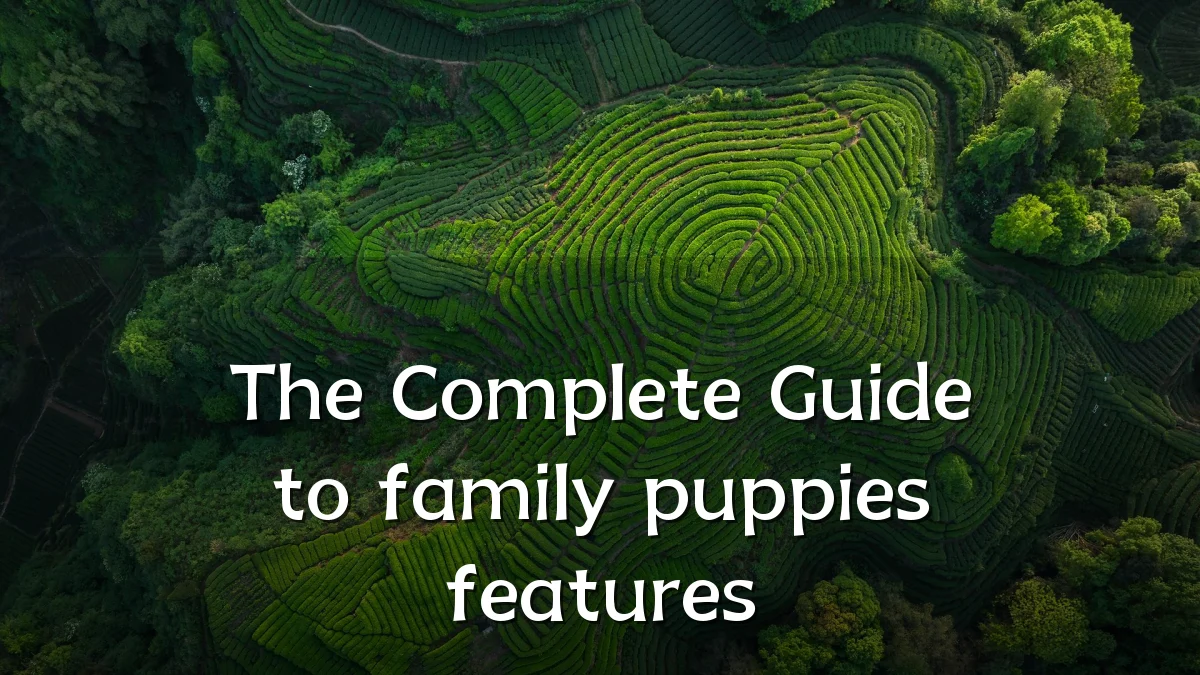 The Complete Guide to family puppies features