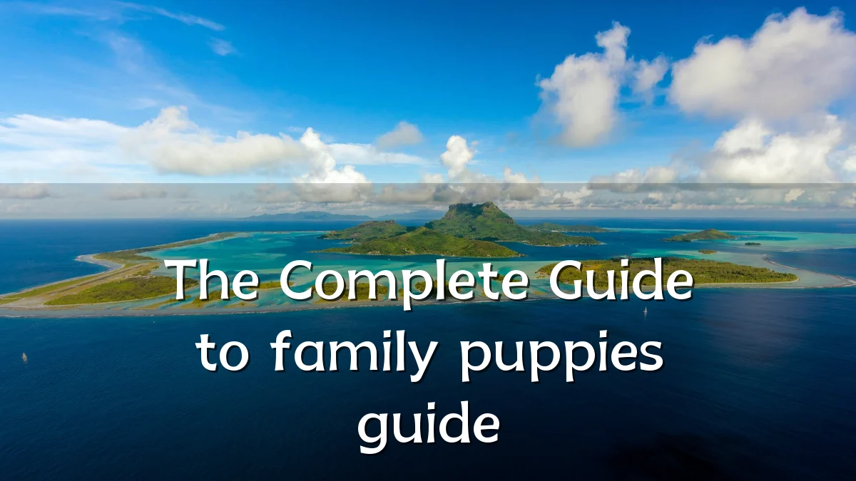 The Complete Guide to family puppies guide