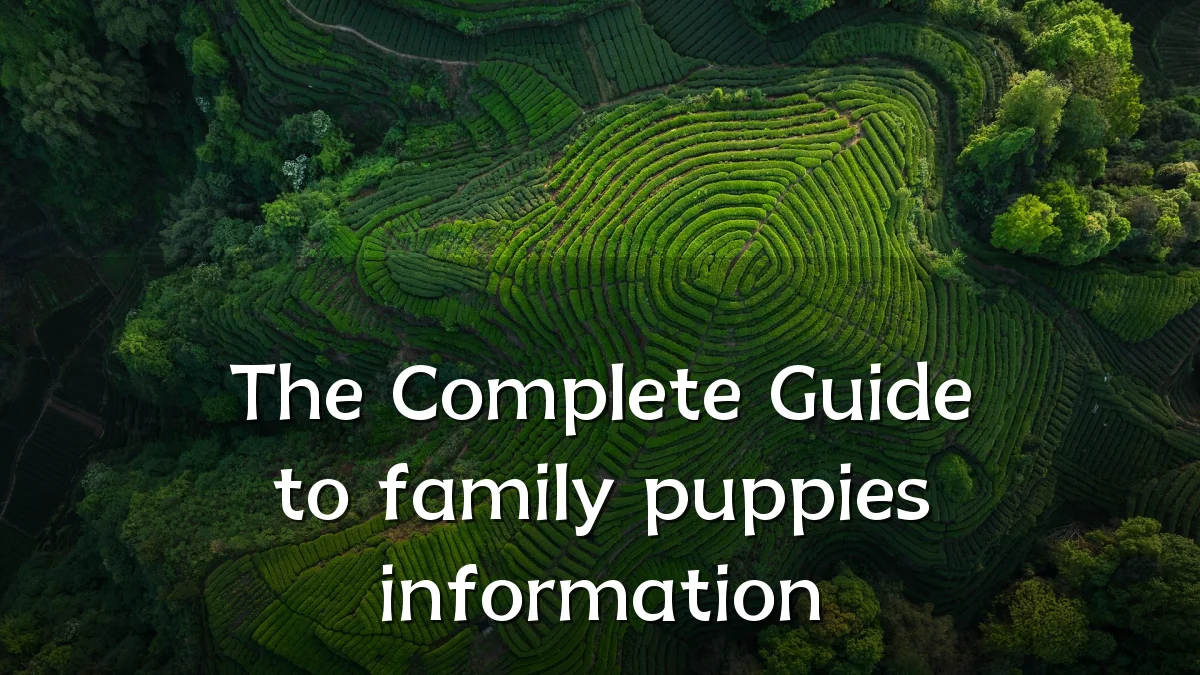 The Complete Guide to family puppies information