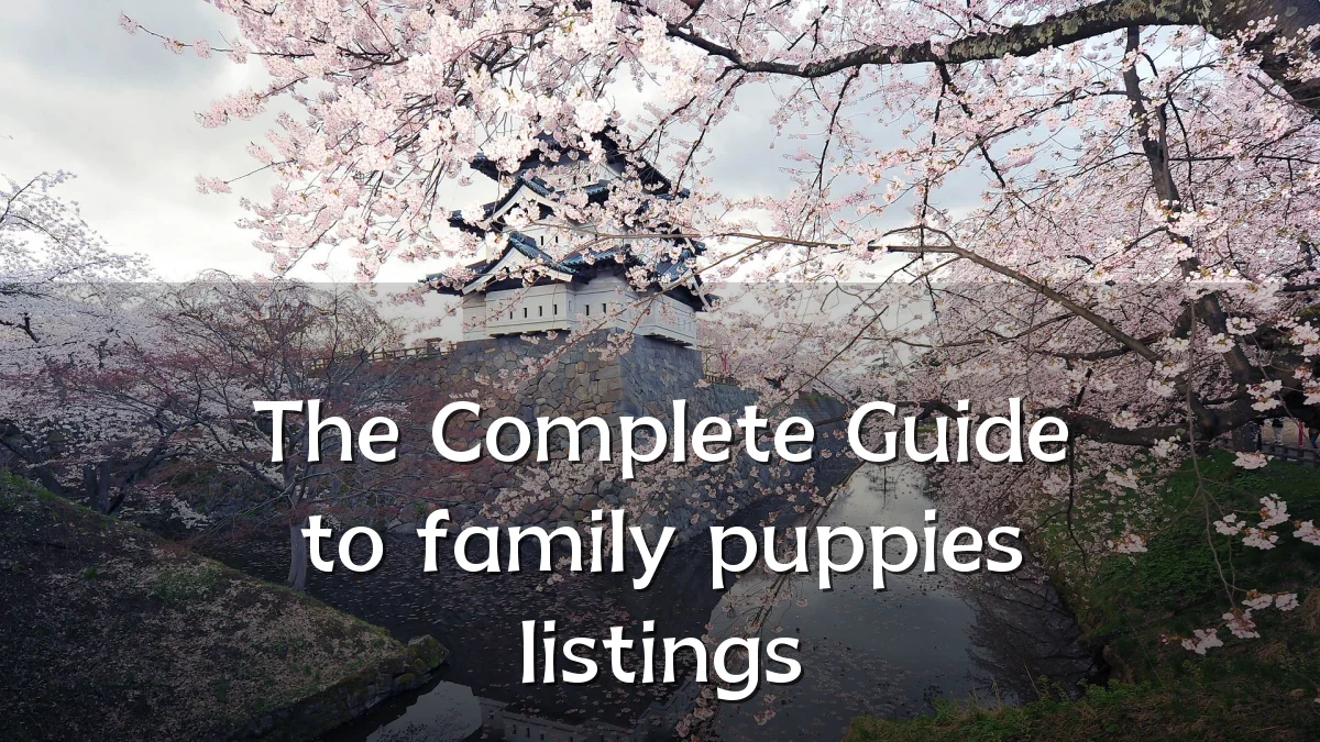 The Complete Guide to family puppies listings