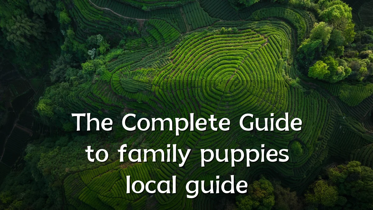 The Complete Guide to family puppies local guide