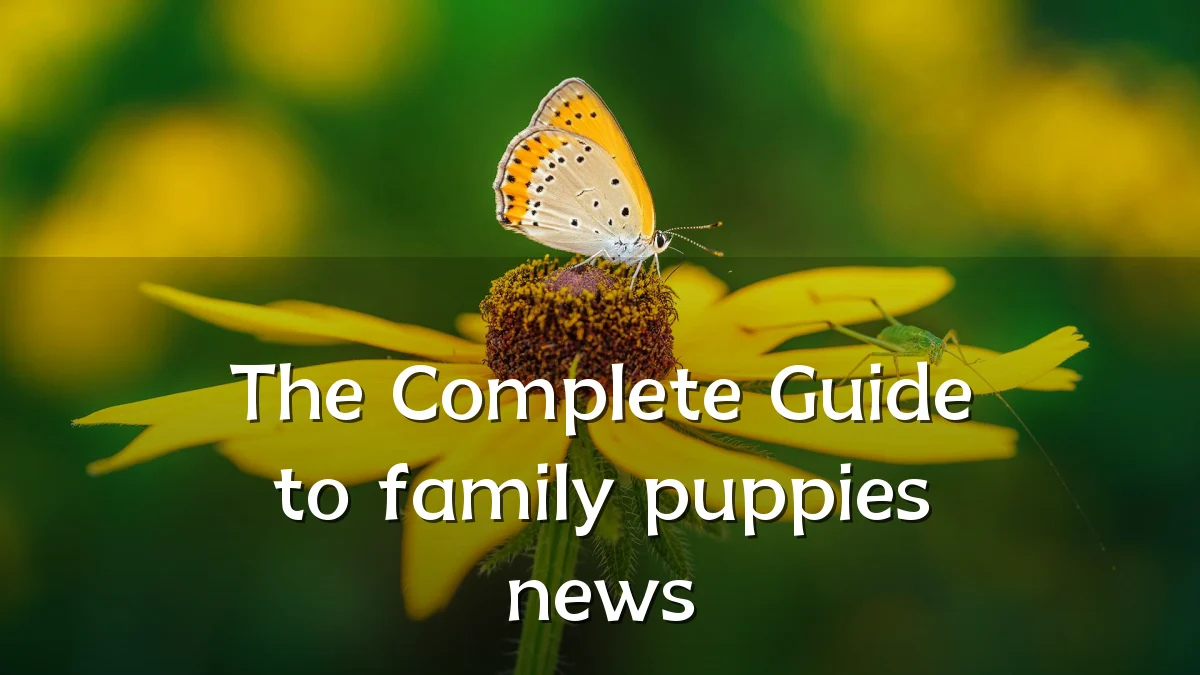 The Complete Guide to family puppies news