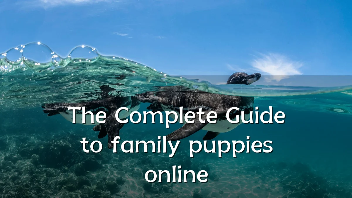 The Complete Guide to family puppies online