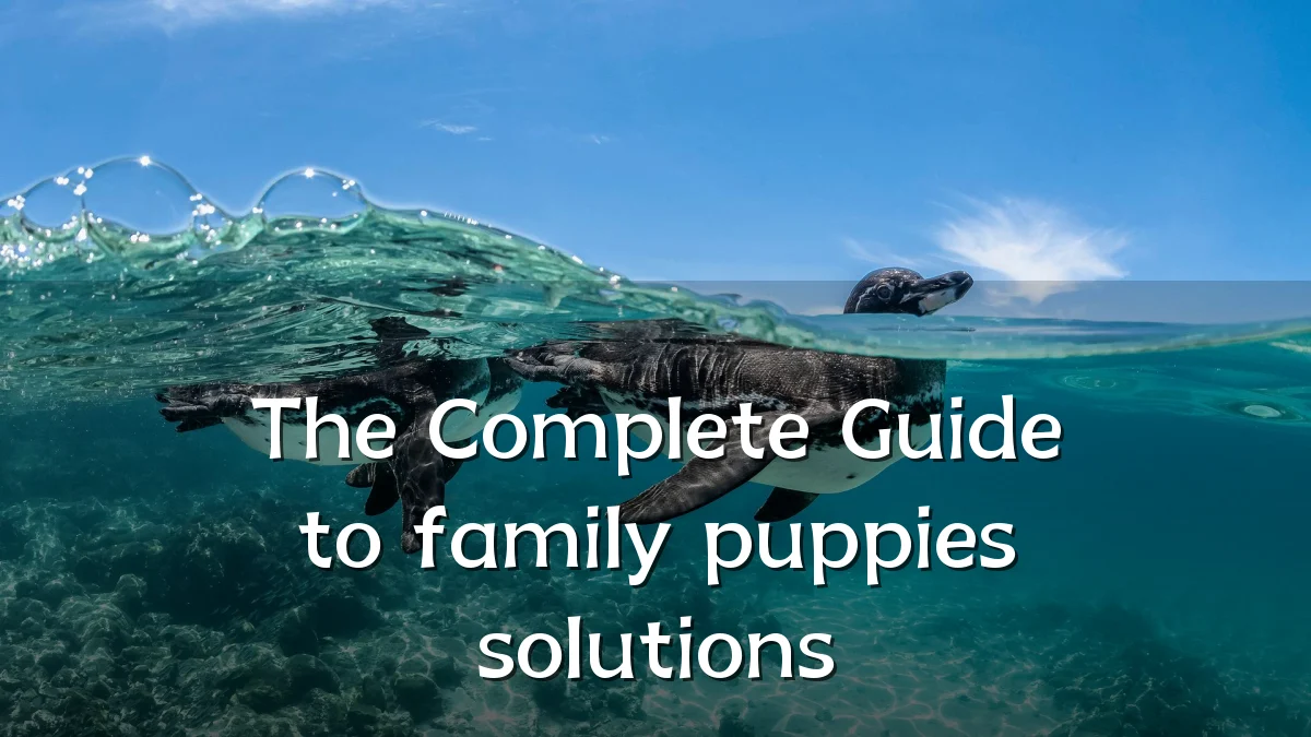 The Complete Guide to family puppies solutions