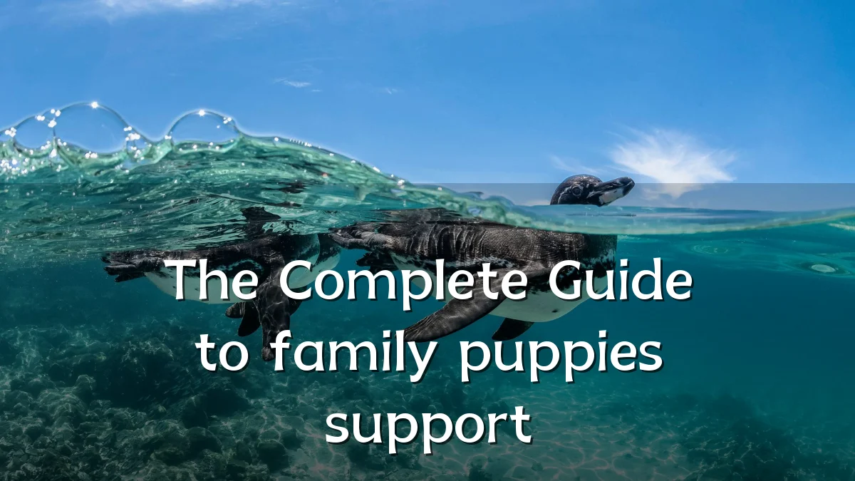 The Complete Guide to family puppies support