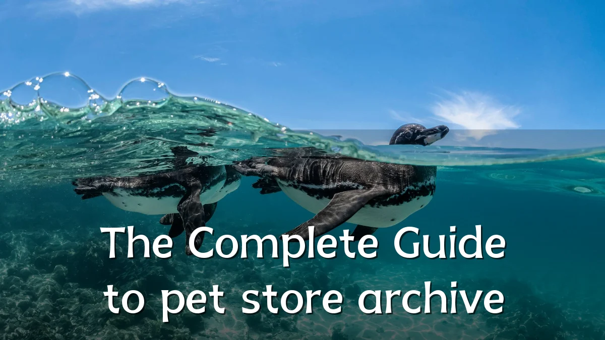 The Complete Guide to pet store archive