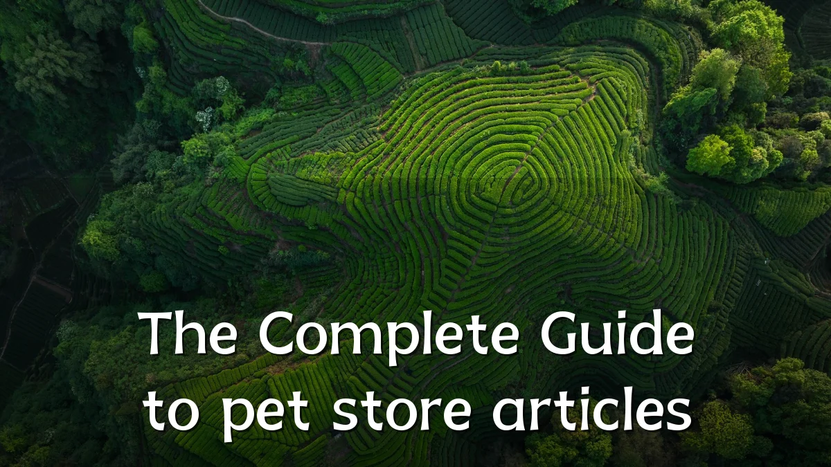 The Complete Guide to pet store articles
