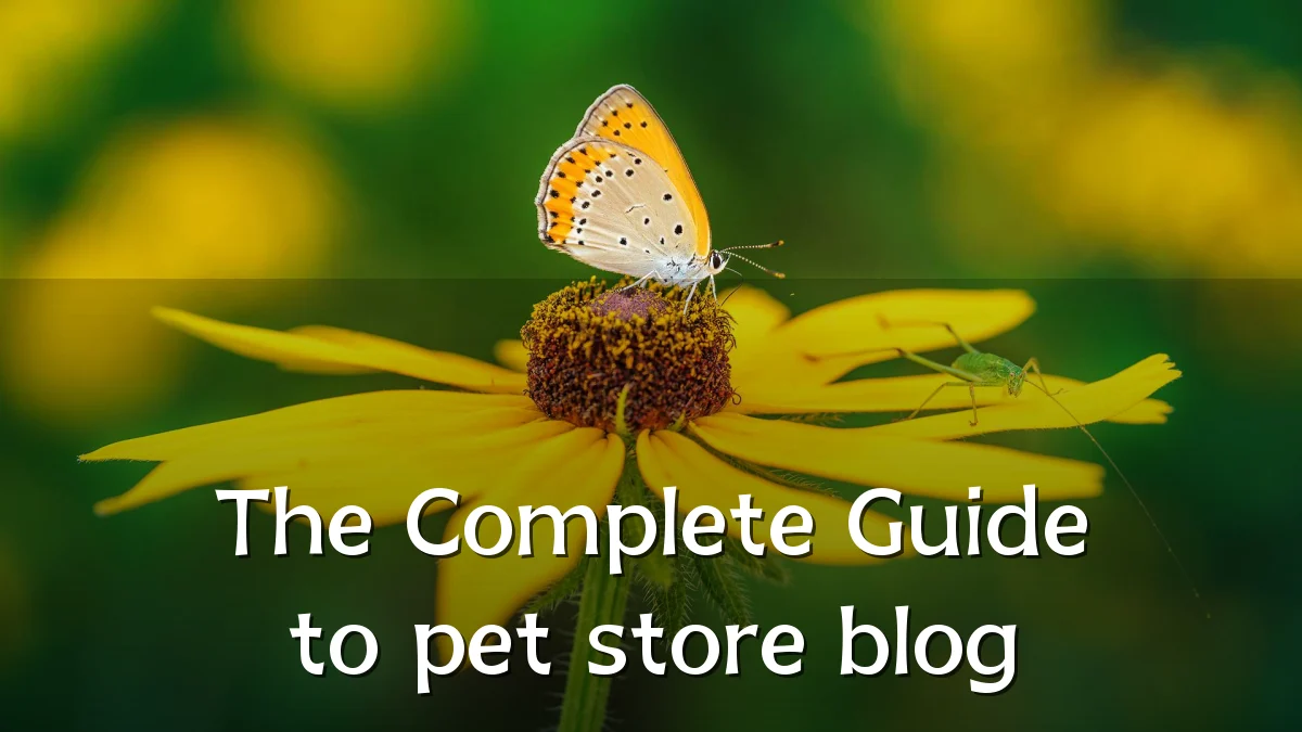 The Complete Guide to pet store blog