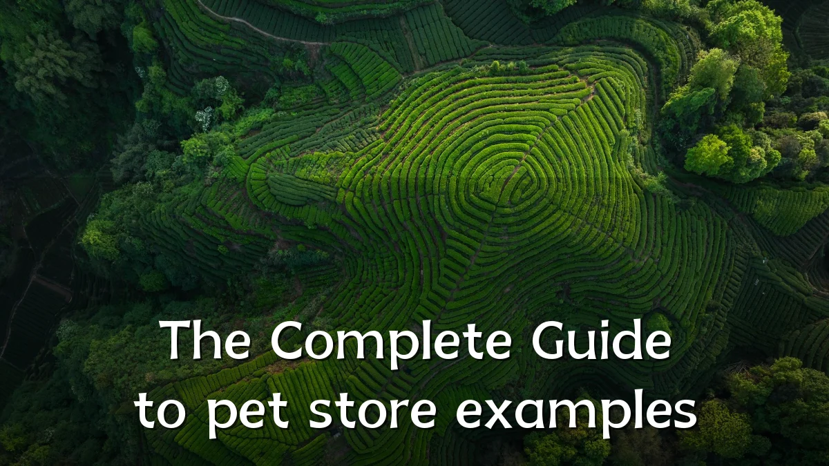The Complete Guide to pet store examples