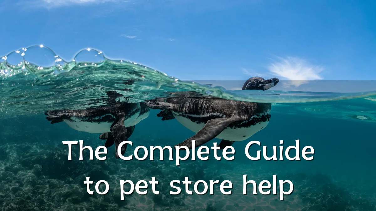 The Complete Guide to pet store help
