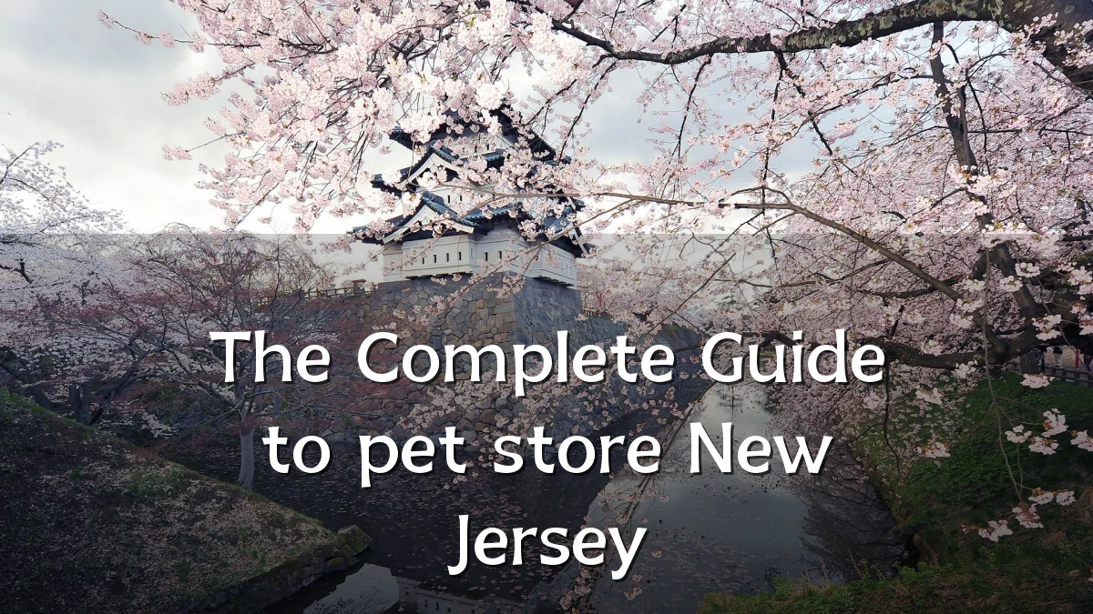 The Complete Guide to pet store New Jersey