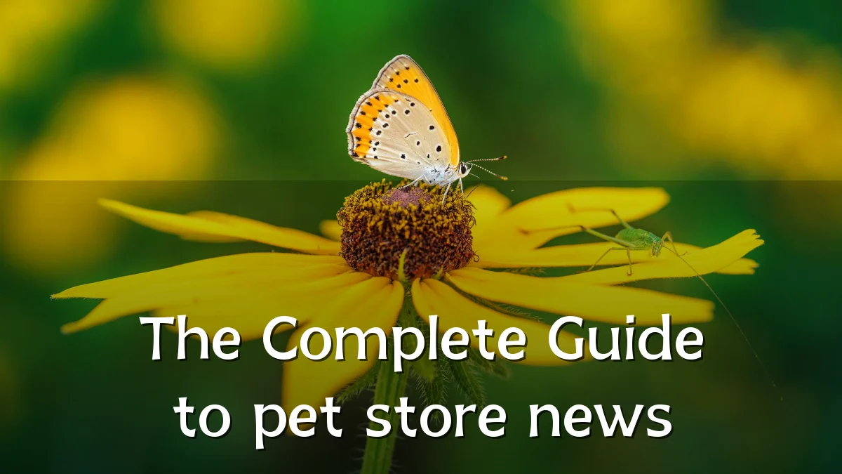 The Complete Guide to pet store news
