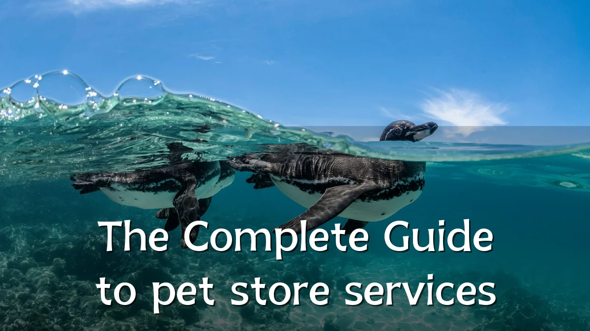 The Complete Guide to pet store services