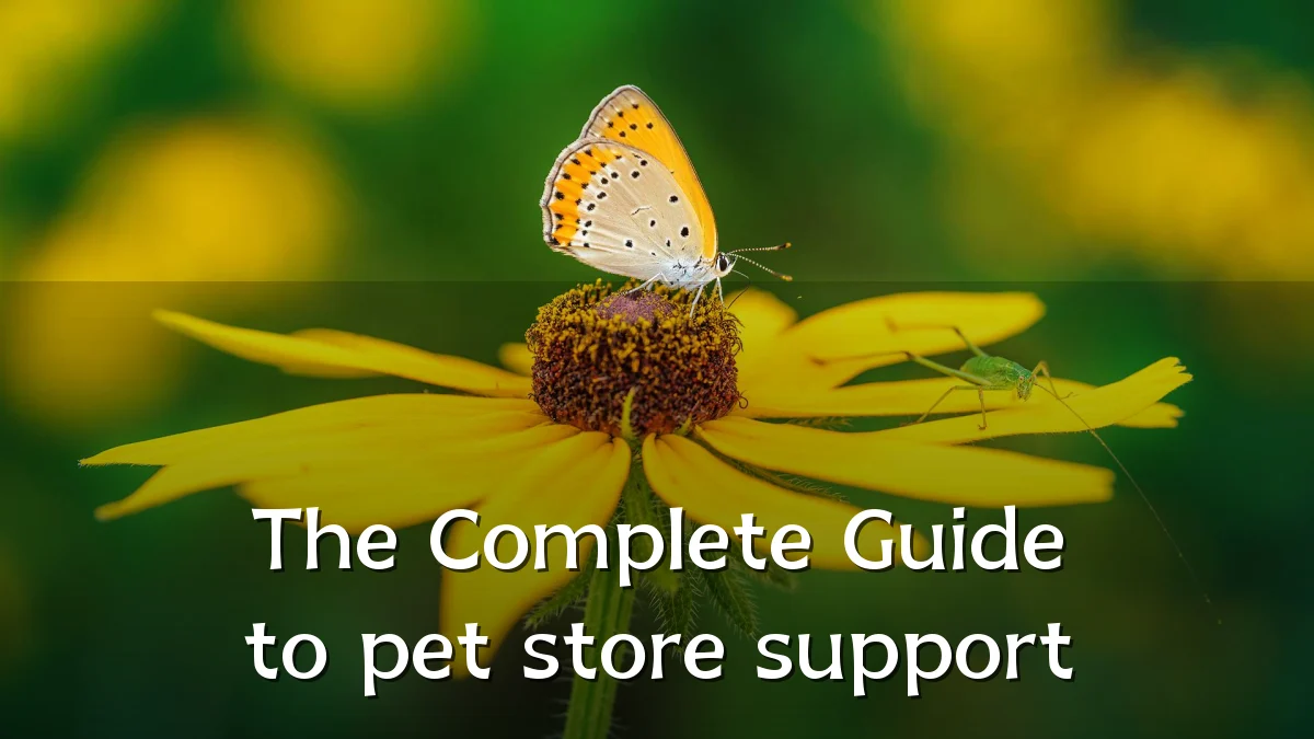 The Complete Guide to pet store support