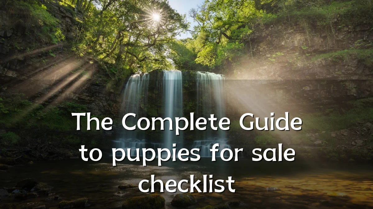 The Complete Guide to puppies for sale checklist