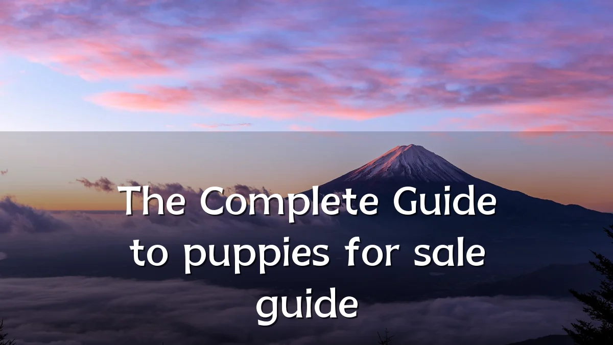 The Complete Guide to puppies for sale guide