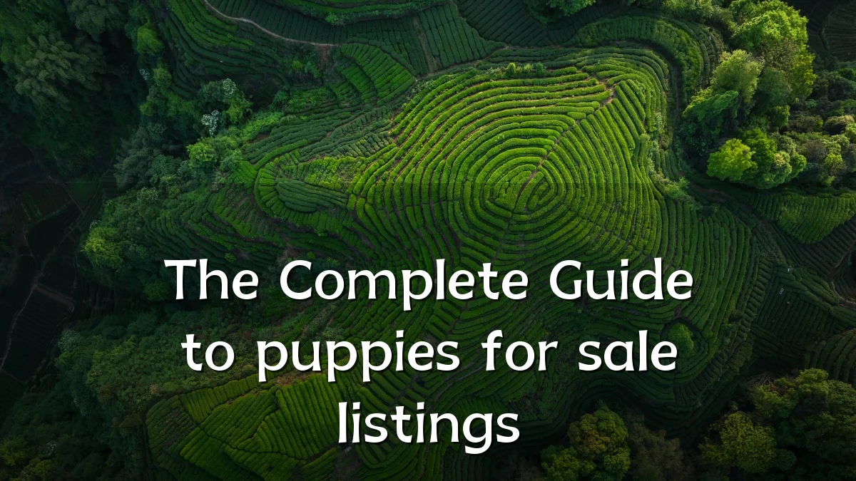 The Complete Guide to puppies for sale listings