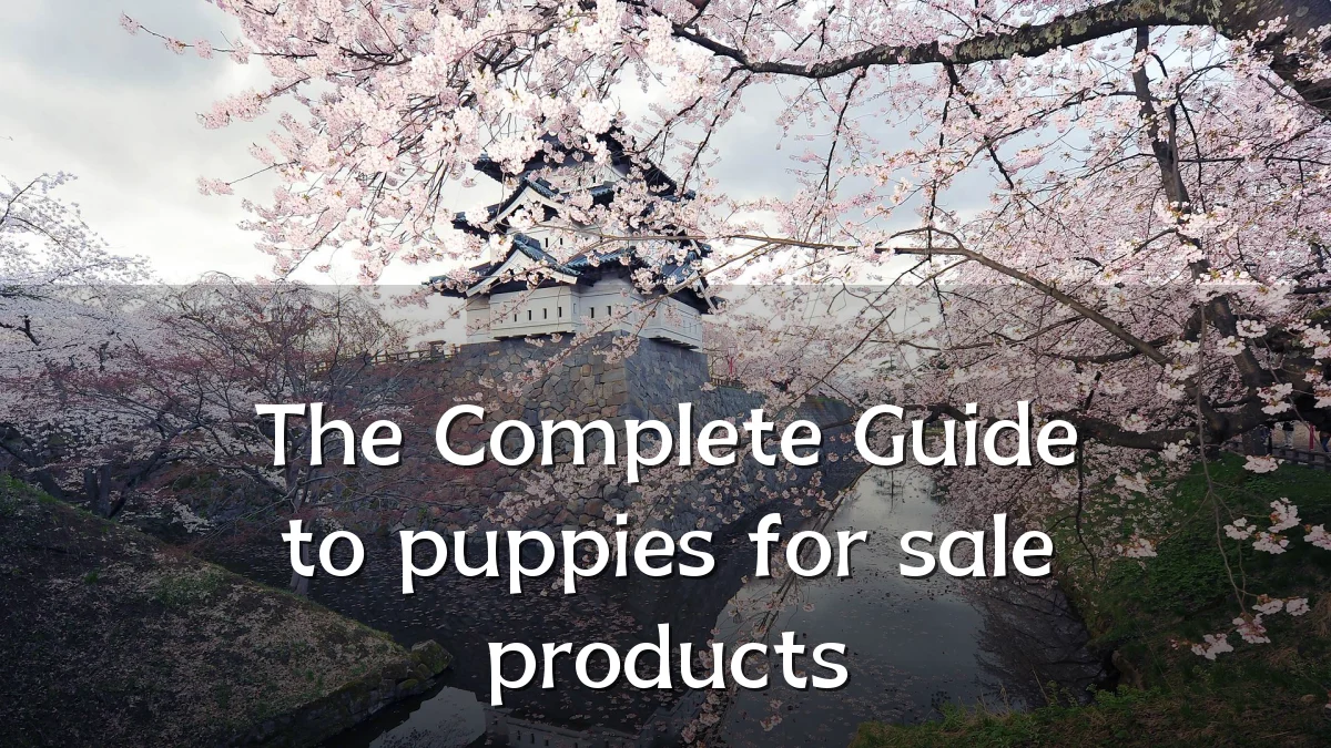The Complete Guide to puppies for sale products