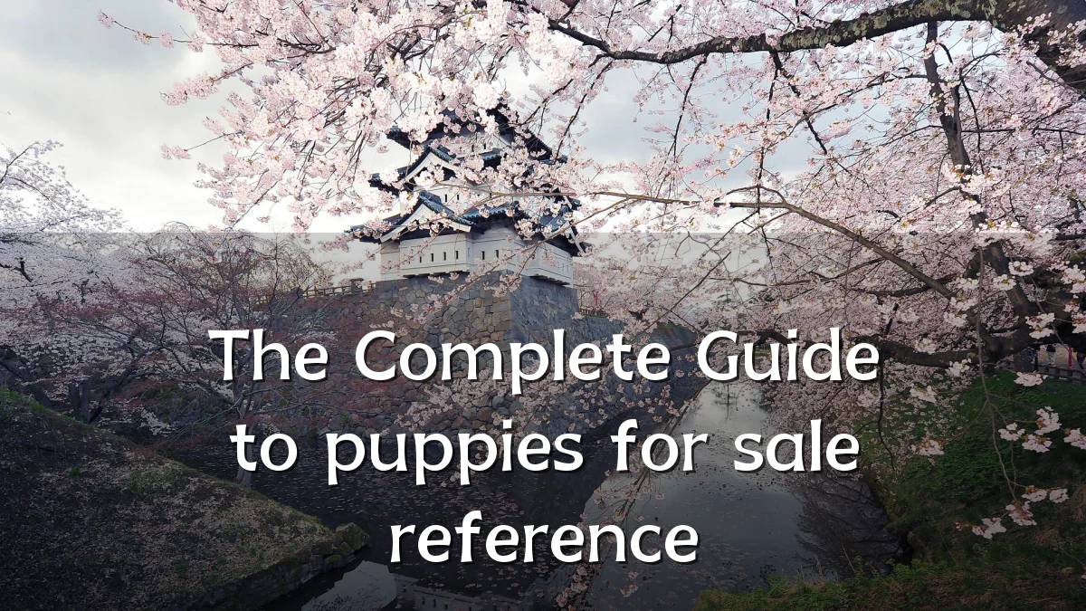 The Complete Guide to puppies for sale reference