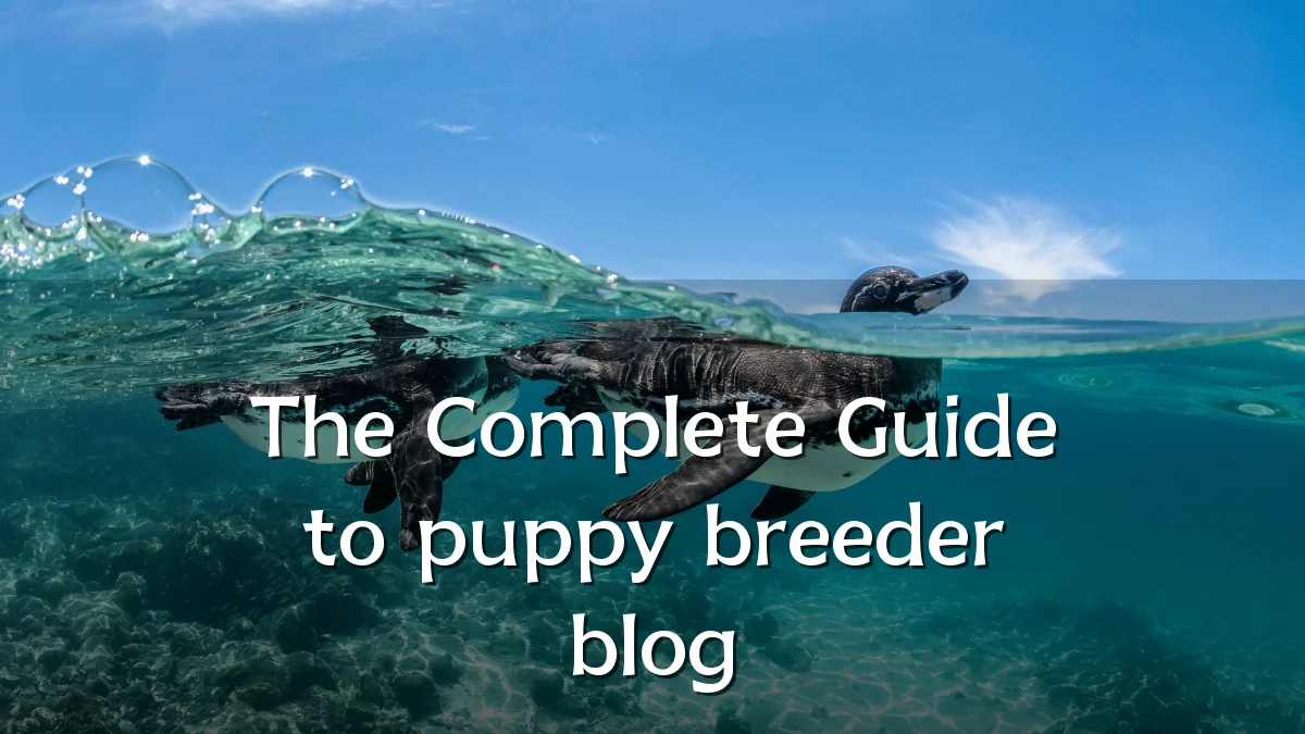 The Complete Guide to puppy breeder blog
