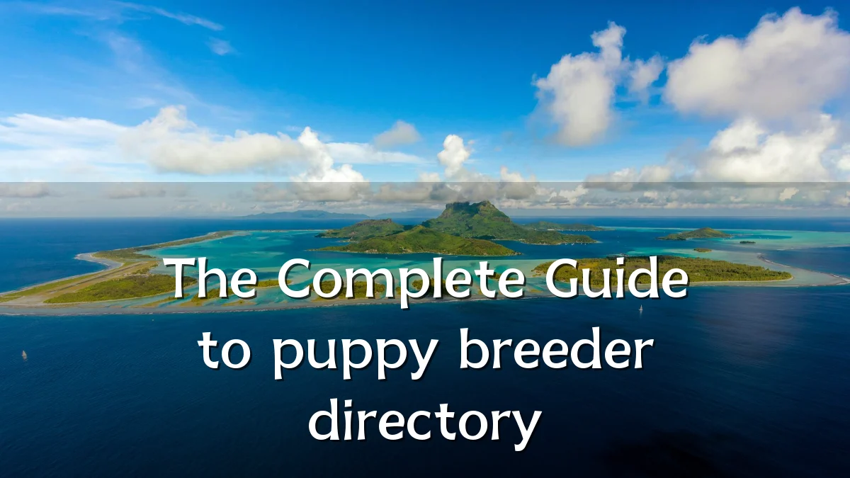 The Complete Guide to puppy breeder directory