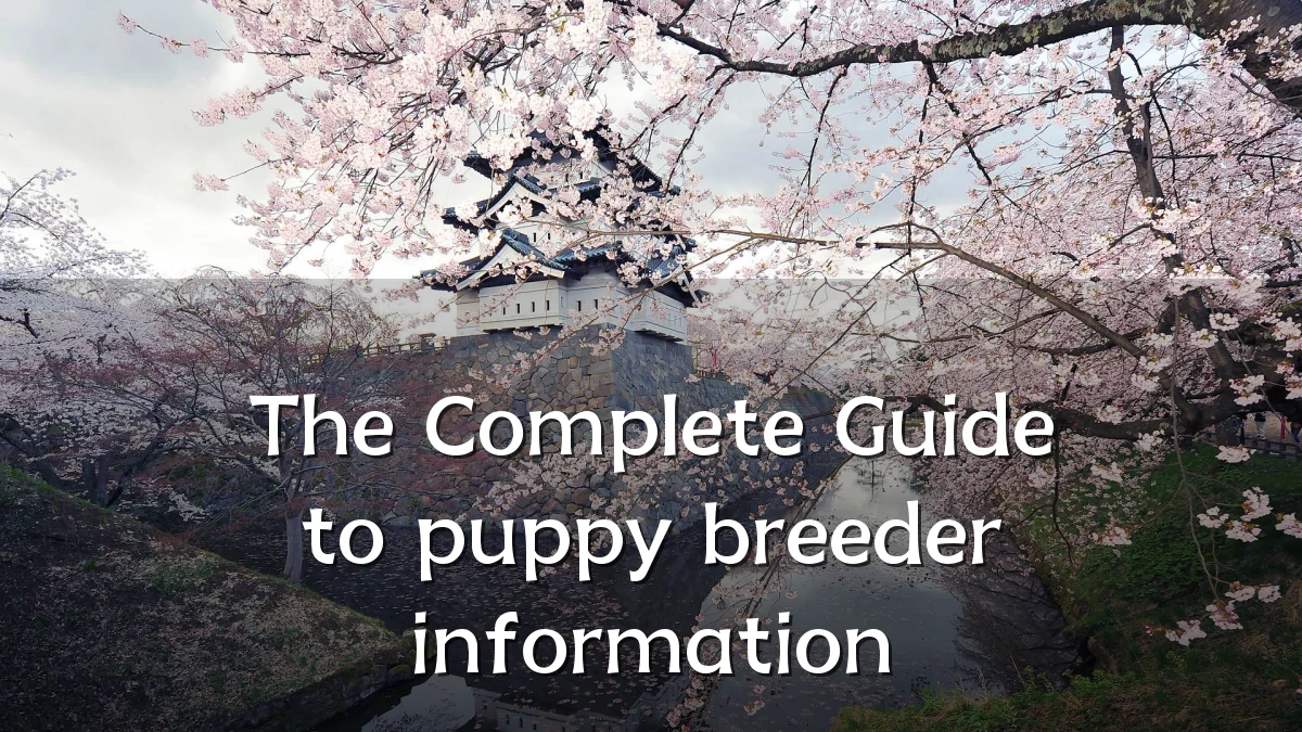 The Complete Guide to puppy breeder information